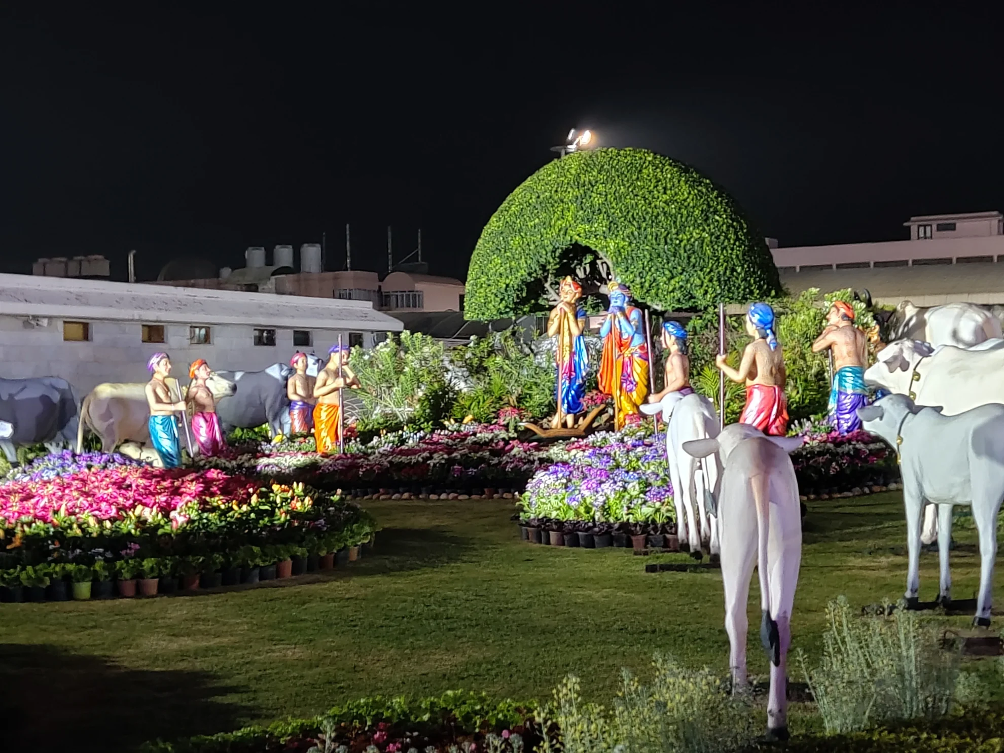 The Gardens and Surroundings