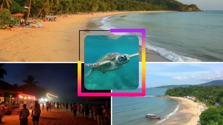 Palolem-and-Agonda-Beach